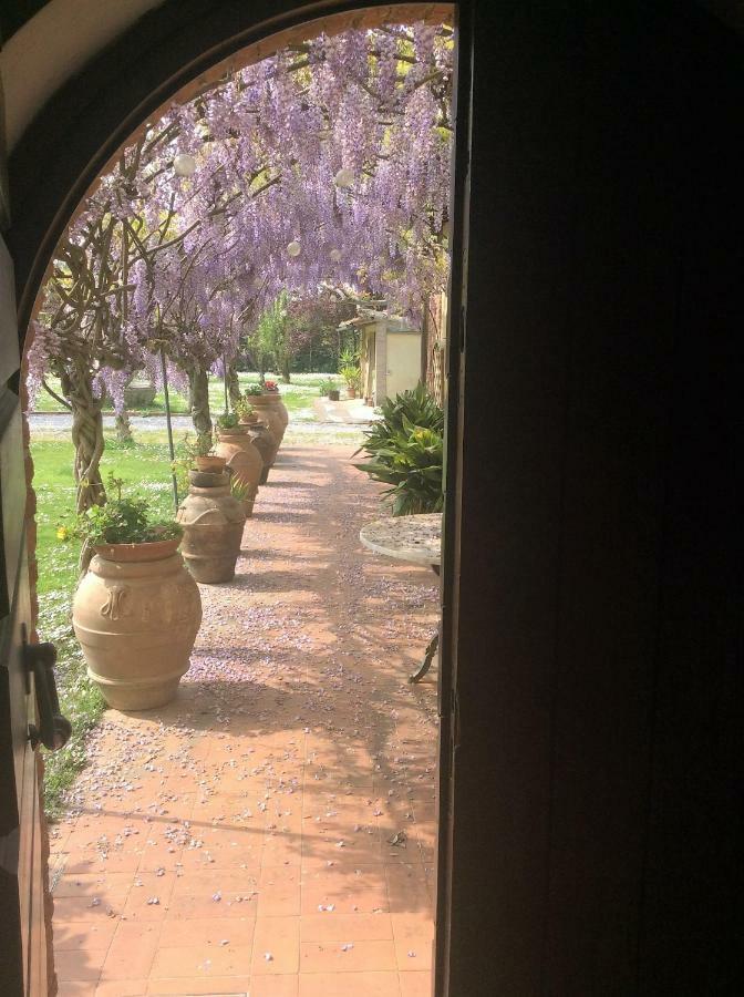 Bed And Breakfast Queen Pisa Exterior foto
